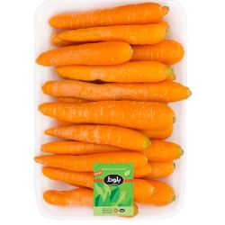 هویج 1 کیلویی بلوط