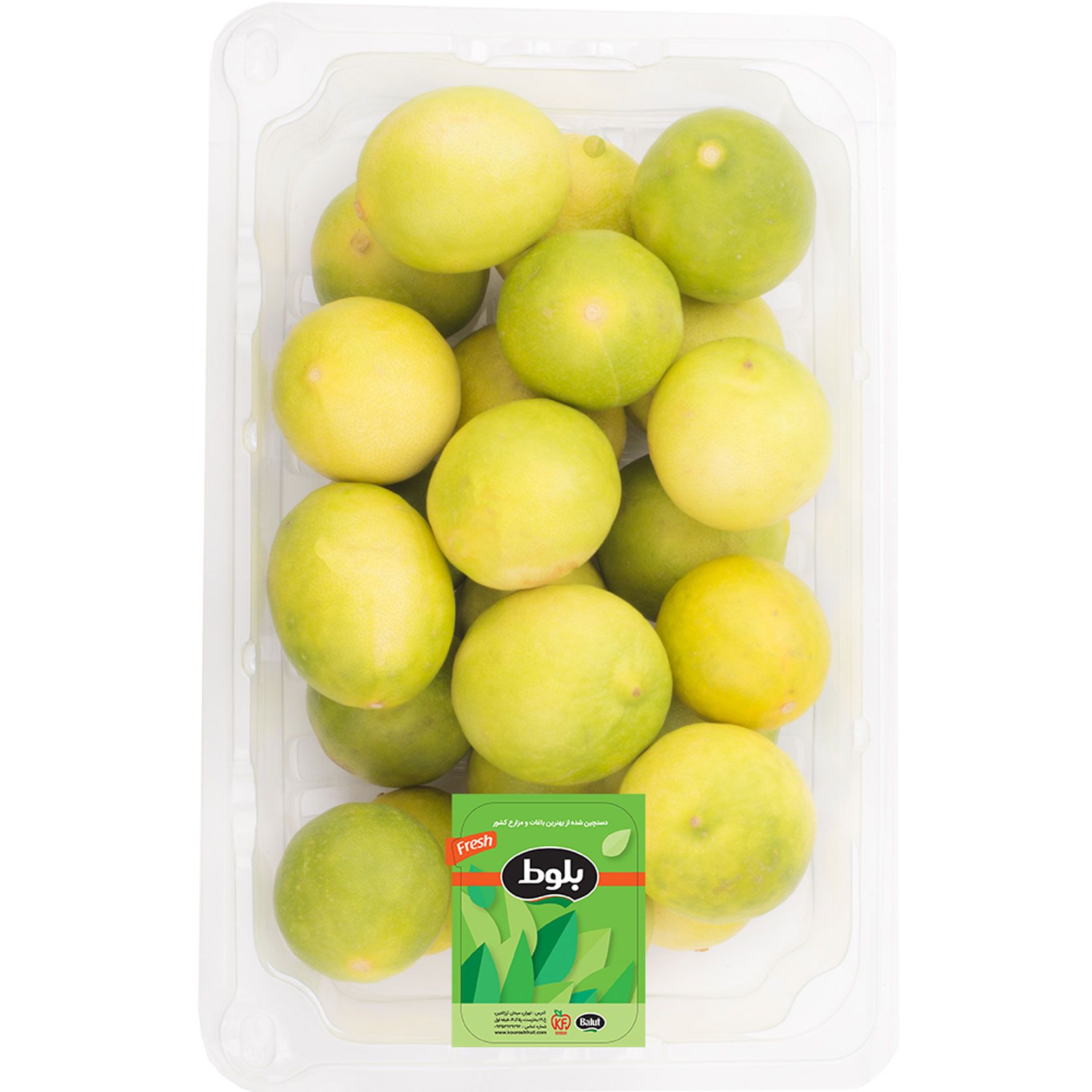 لیمو ترش شیرازی 500 گرمی بلوط